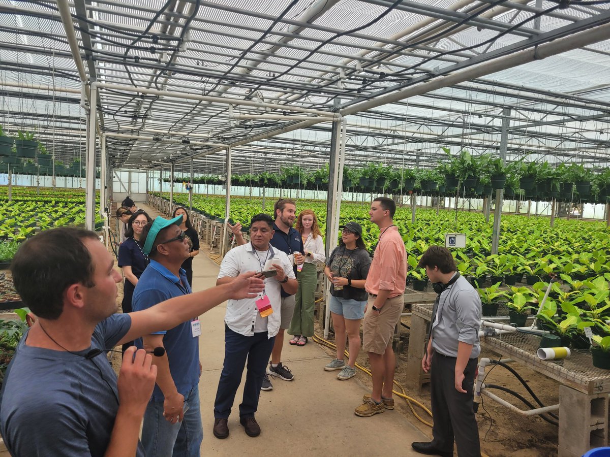 Vanessa Vassilaros tweet media