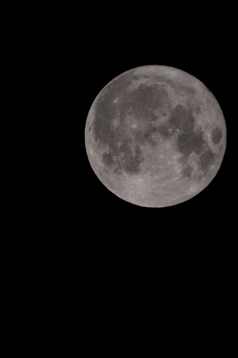 waleedbadawi's tweet photo. Happy #Fullmoon https://t.co/TlupP9fFhj