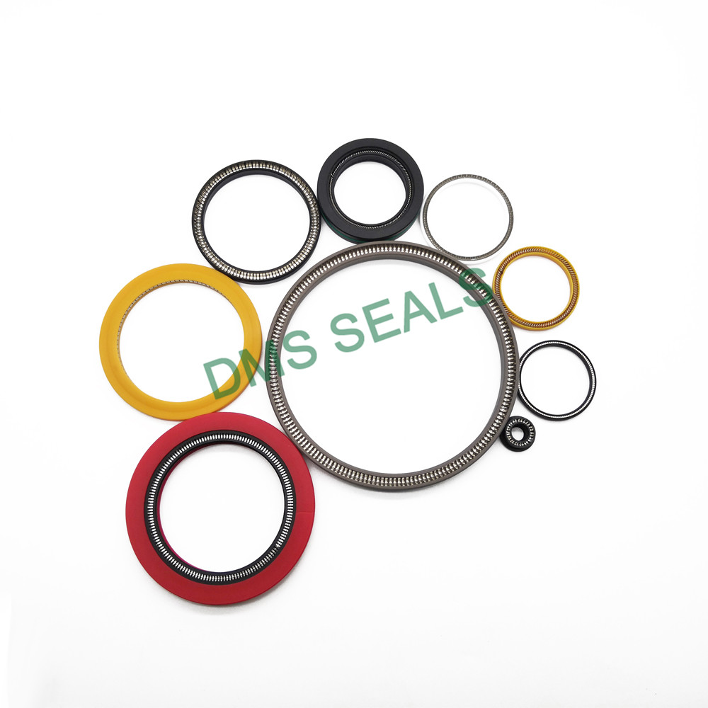 DMSseals's tweet image. Dms Seals Technology Co.,limited has brought you premium deals and surprises! Visit dmsseals.com and don&apos;t miss the best spring energized seals! #springenergizedseals #springloadedseal