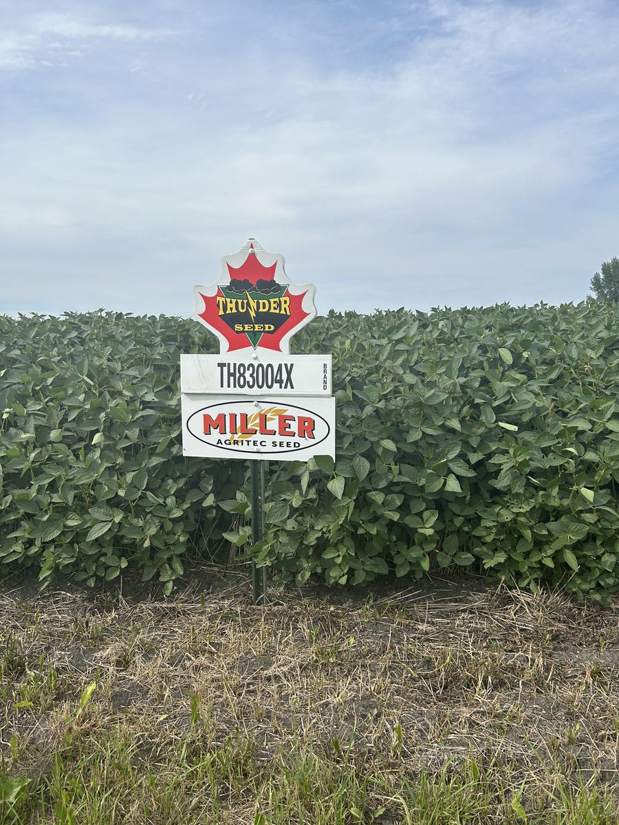 Wendy Major tweet media