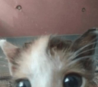 FEL02RLN's tweet photo. @VIC02RLN pergunta sincera https://t.co/6weaM1rqNu