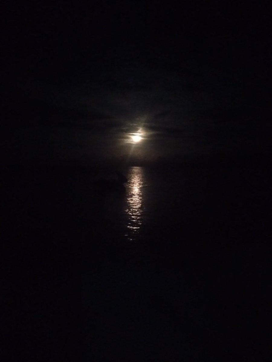 buna_tours's tweet photo. Martes #1agosto de 2023 #LunaLlena, sobre #Nargana vista desde Ia paradisíaca Isla Nugnudub, edad 15 días, 100% iluminado, 363,815.18 km lejos de la Tierra.
#GunaYala #SanBlas #Panamá https://t.co/gkEp1SSsSC
