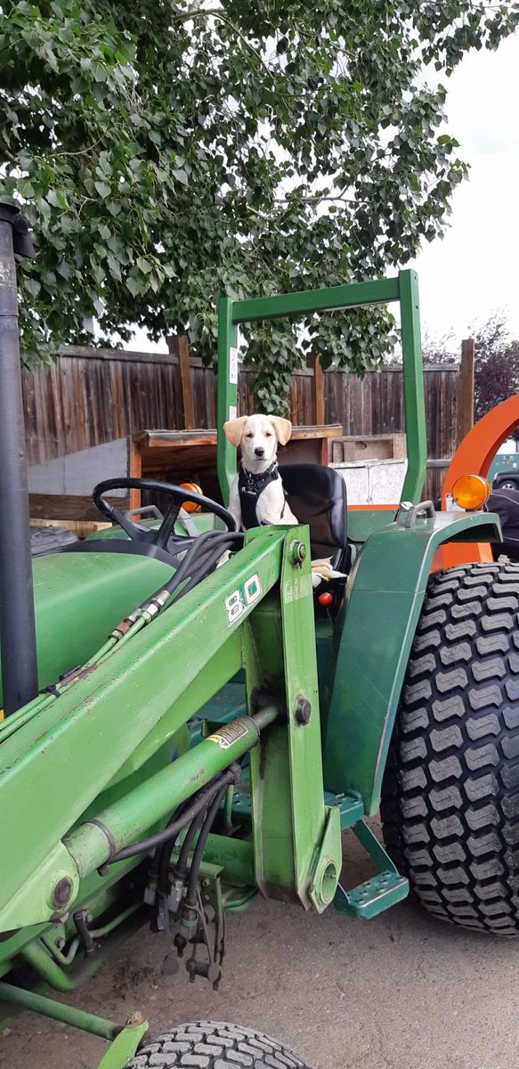 Morgan Creighton tweet media