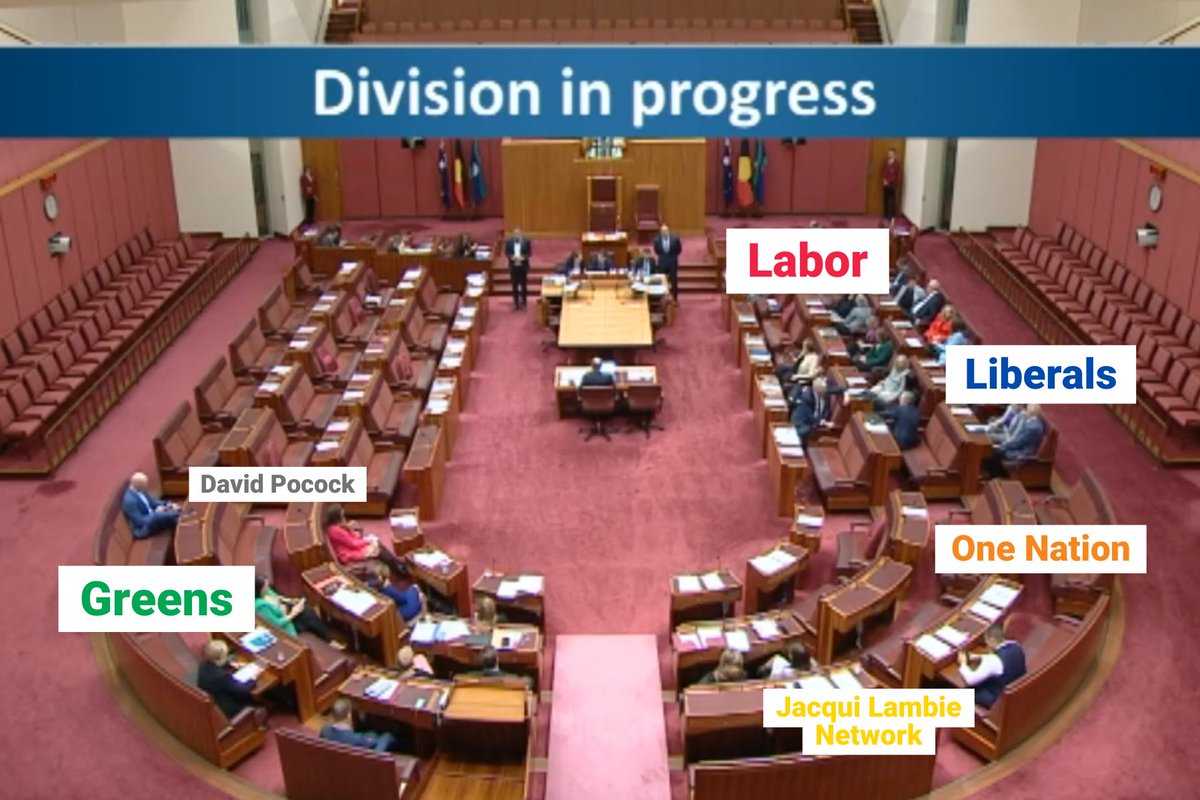 janet_rice's tweet photo. Labor and Liberals just voted down the Greens amendment to the 'Strengthening the Safety Net Bill' to raise Jobseeker above the poverty line to $88 a day.

How can Labor claim they're 'strengthening the social safety net' while keeping millions of Australians on poverty-payments? https://t.co/PyUrR2LfFa