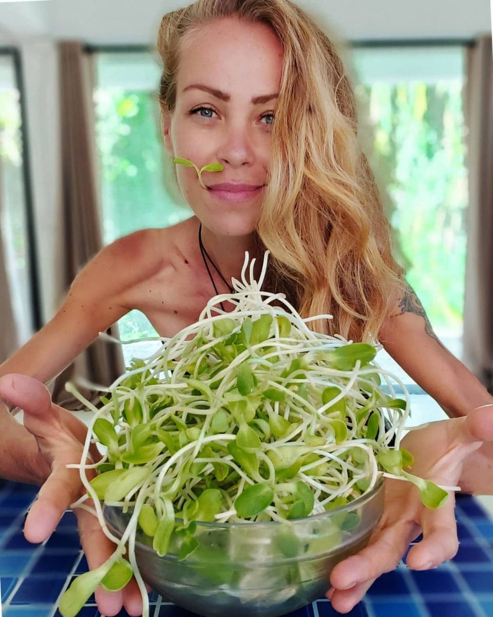 DiarioLibre's tweet photo. 🌐|#MundoDL| Muere la influencer Zhanna Samsonova, quien llevaba una dieta extrema basada en frutas

🔗https://t.co/PuFX5tBmvQ

#DiarioLibre #Influencer #Dieta #ZhannaSamsonova https://t.co/ICLZYtDeCN
