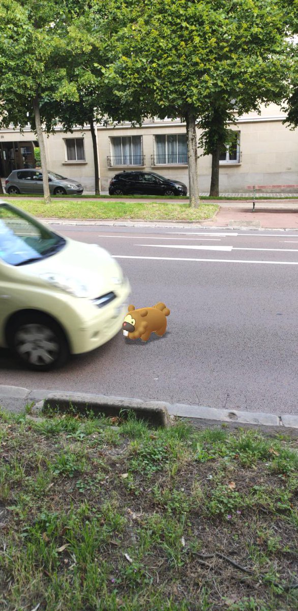 OoCPokemon's tweet photo. BIDOOF NOOOOOOOOOOOOOO https://t.co/rSQYvBAwCb