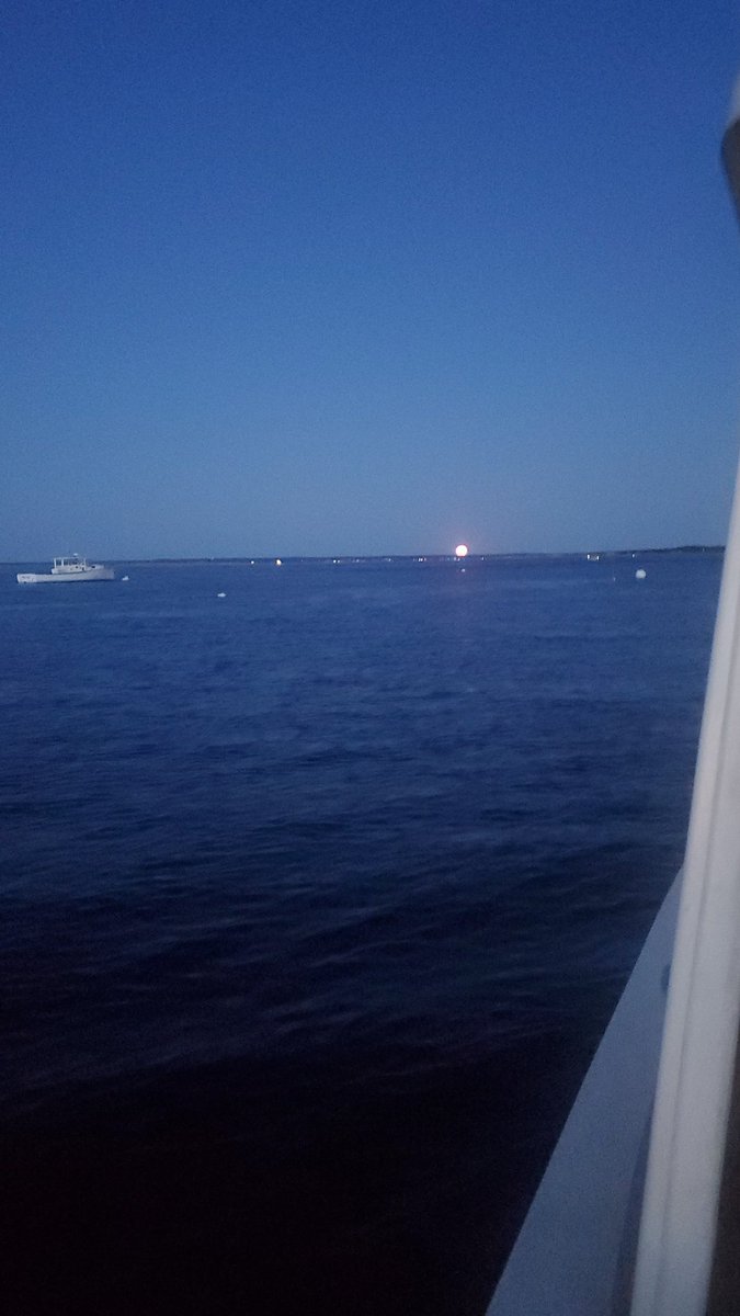 1634meadery's tweet image. @growingwisdom Sturgeon moon rising!