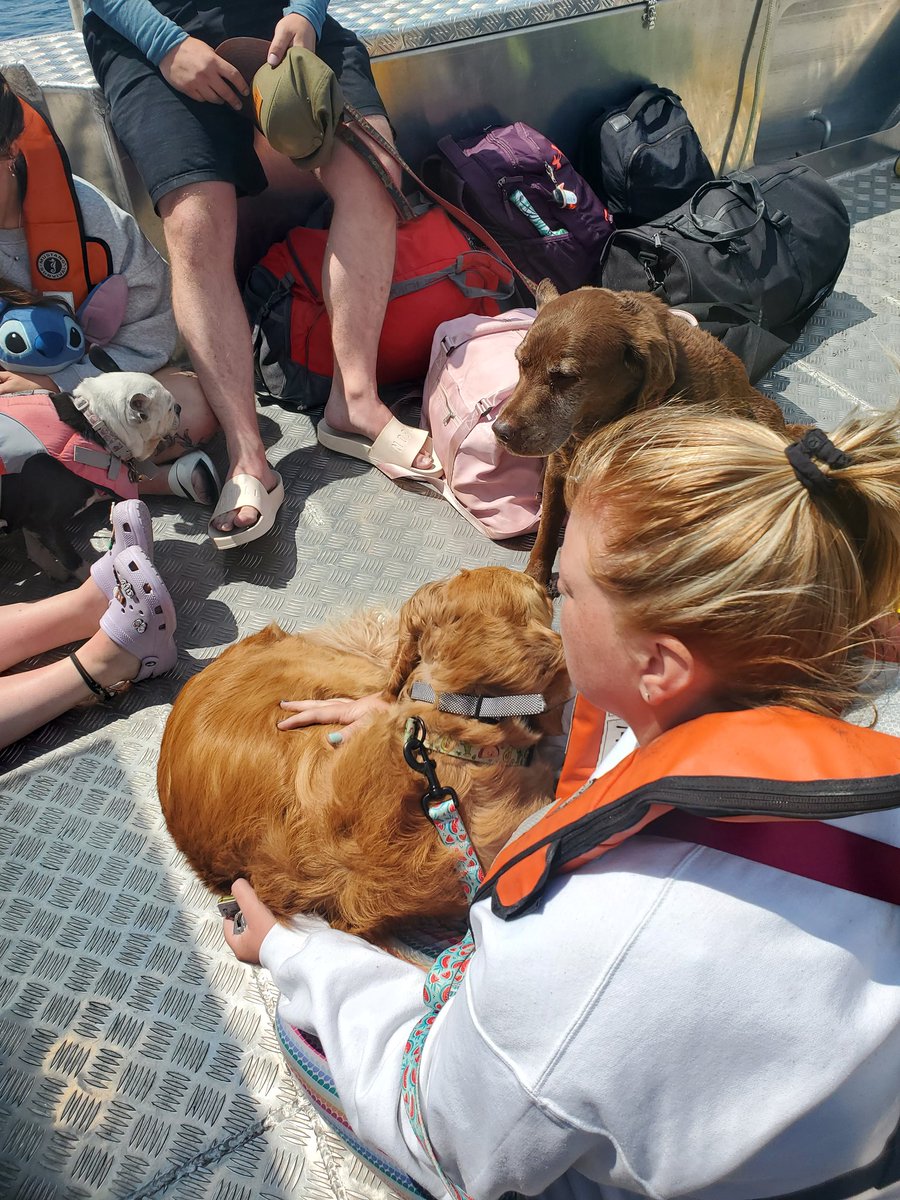 dbot9's tweet photo. @HydroOne Was thinking the other day that I wish I'd thought of taking a pic with the team. Here is the only one I got from the rescue, what a great team you all were! Thanks again for your help https://t.co/vjF77HIWDd