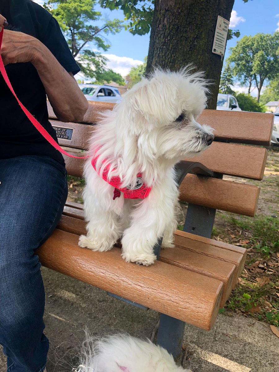 Jaxcarly0612's tweet photo. ….We had fun today!♥️ #Carly🤍 #Hayden🤍 #10MonthsOld #FunAtThePark🥰💞🐶☀️🐾 https://t.co/EFZQ500lAL