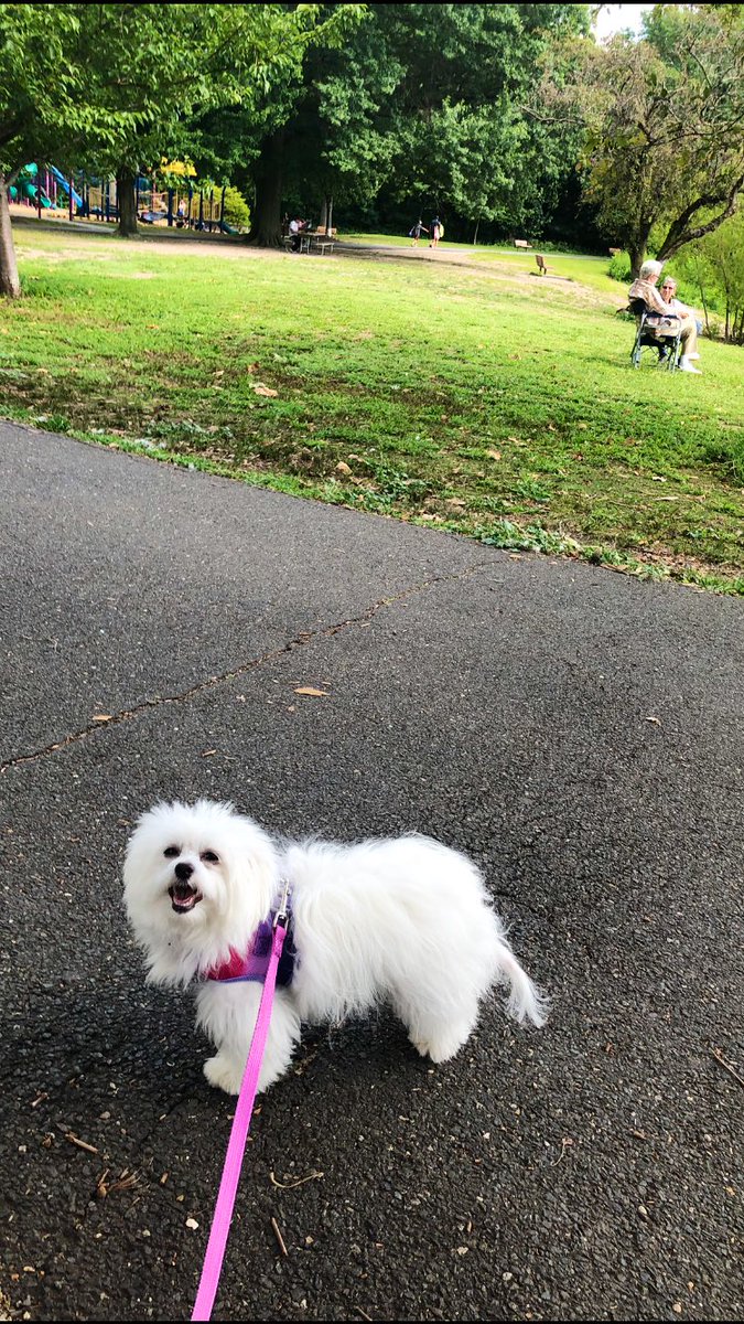 Jaxcarly0612's tweet photo. ….We had fun today!♥️ #Carly🤍 #Hayden🤍 #10MonthsOld #FunAtThePark🥰💞🐶☀️🐾 https://t.co/EFZQ500lAL