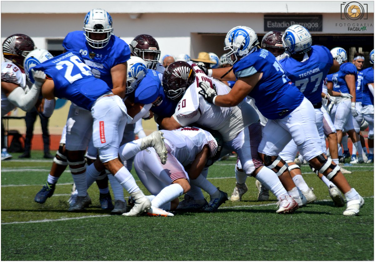 fa_gdl's tweet photo. #MegaStrong
#BurguerBOY
#Super50
"Tremenda D"
#LigaMayor
#TECMTYGDL
#TECOSUAG
#ONEFA
#FootBall #FootBallAmericano
#Pretemporada 2023
#TenemosFootBall https://t.co/jsolgYXdQa