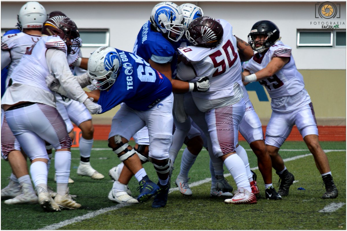 fa_gdl's tweet photo. #MegaStrong
#BurguerBOY
#Super50
"Tremenda D"
#LigaMayor
#TECMTYGDL
#TECOSUAG
#ONEFA
#FootBall #FootBallAmericano
#Pretemporada 2023
#TenemosFootBall https://t.co/jsolgYXdQa