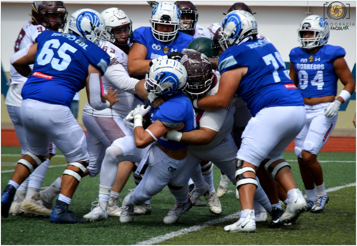 fa_gdl's tweet photo. #MegaStrong
#BurguerBOY
#Super50
"Tremenda D"
#LigaMayor
#TECMTYGDL
#TECOSUAG
#ONEFA
#FootBall #FootBallAmericano
#Pretemporada 2023
#TenemosFootBall https://t.co/jsolgYXdQa