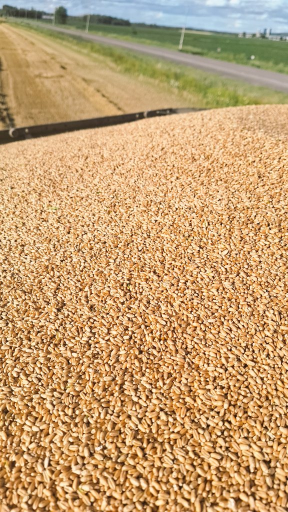 mathieu sauvé tweet media