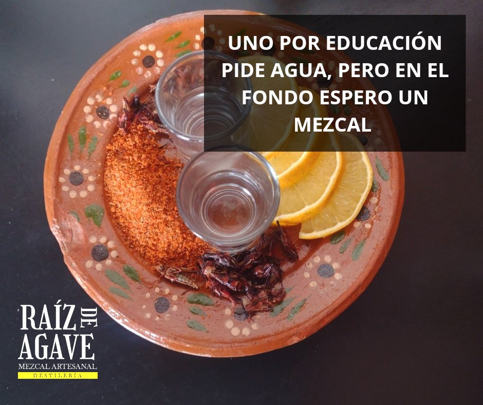 Espero como tres mezcales....❤️

 #MezcalArtesanal #mezcaloaxaqueño #Oaxaca #mezcales #mezcalito #mezcaleros #mezcal