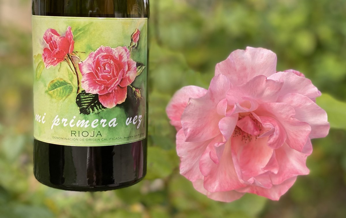 Bodegascornelio's tweet image. Delicate. Beautiful. That's what the rose is like. 🌷🍷 And so our white of #GarnachaBlanca and #Malvasia called "Mi Primera Vez" (My first time).

A delicious, creamy and round coupage. 💜You have it available in our online store: bodegascornelio.com/producto/todos…