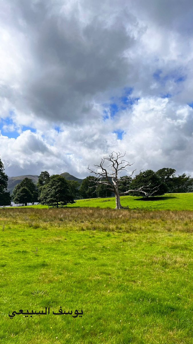 المشارك: يوسف السبيعي 

صوتك يفرق 🔁
في #تحدي_تارقت