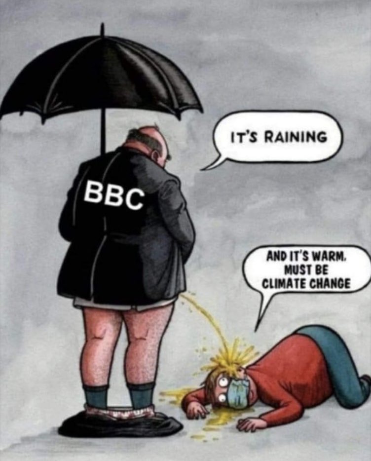 Sal the Agorist (@sallymayweather) on Twitter photo 