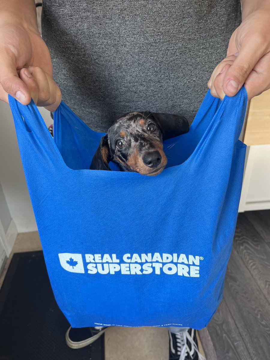 Billie Colbourne tweet media