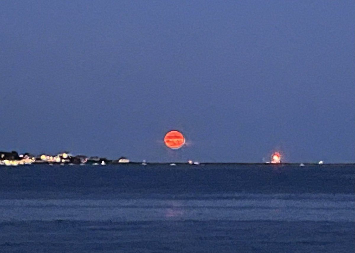 John Ferrero, Former STEM Extension at Macdonough tweet media