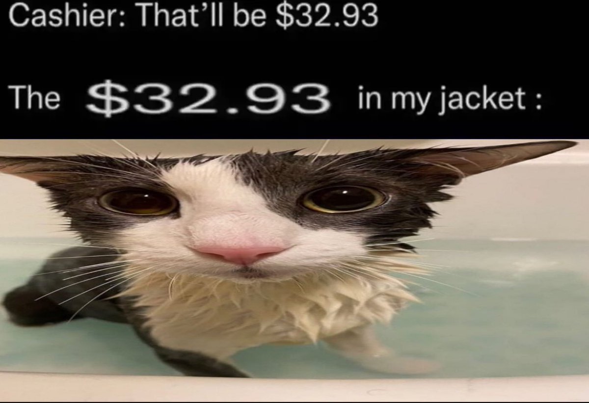 Soggy Cat enjoyer (@weedlord_boner) on Twitter photo 