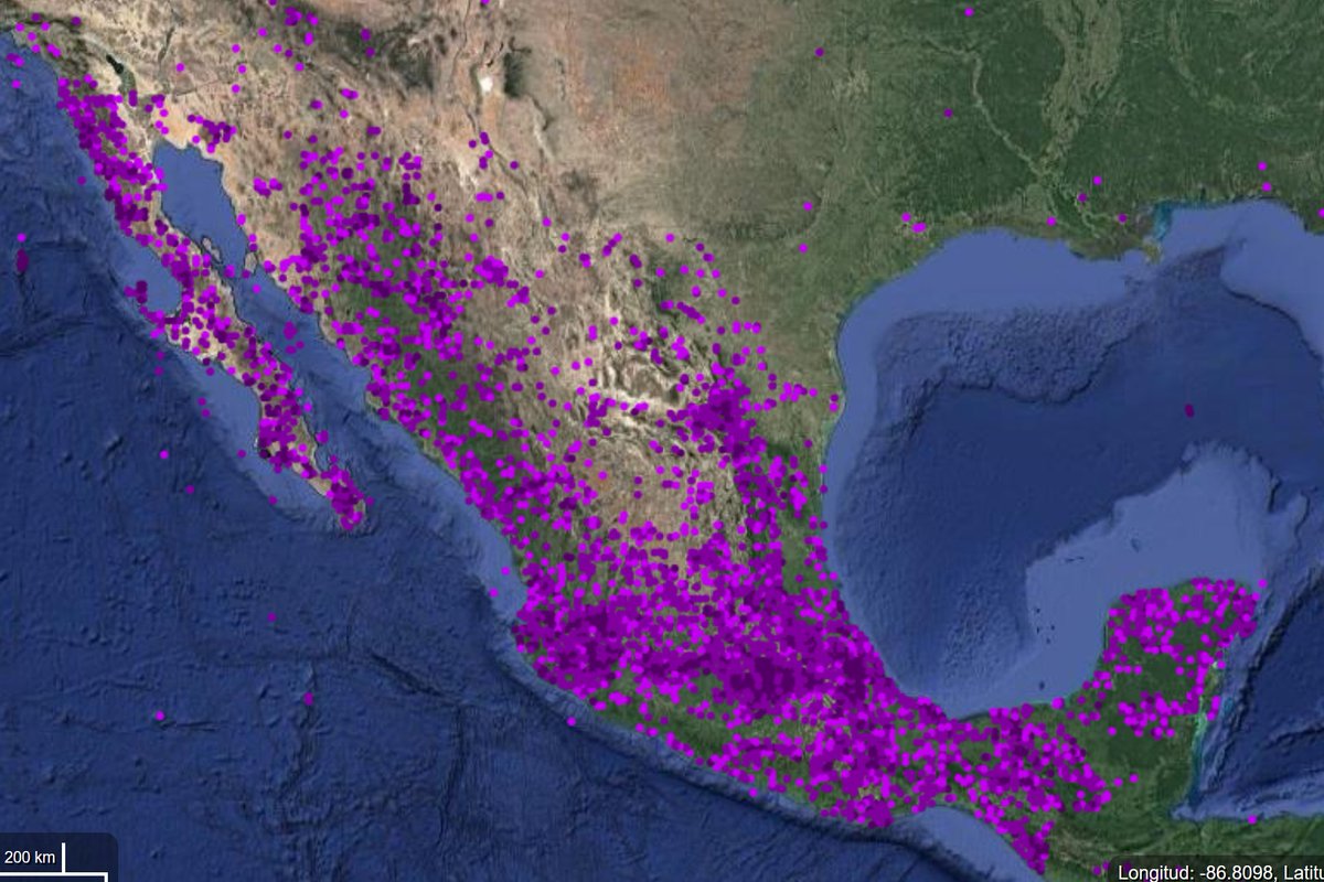 datavizero's tweet photo. Sabían que existe un mapa de avistamiento de hongos en México ?  
Con registro de 6,558 especies, hecho por la @CONABIO
Link: https://t.co/RwWhtv3T7t https://t.co/DQLI10oadP
