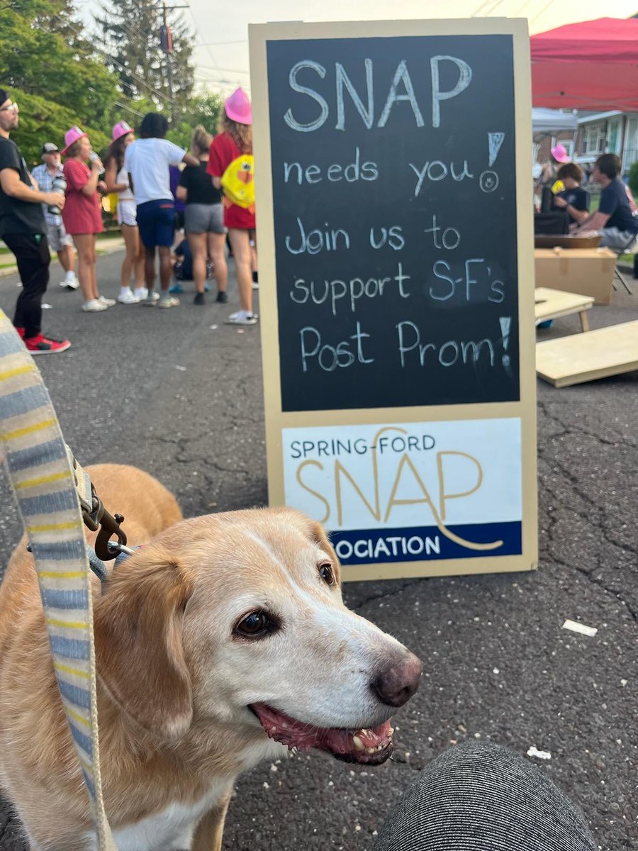 jmbcsammy's tweet photo. National Night Out on Washington Street in Royersford #SpringFord #postprom #sfasd @SF_SNAP. Thanks Sammy! @CRCWatersheds https://t.co/MJvZjAZjBh