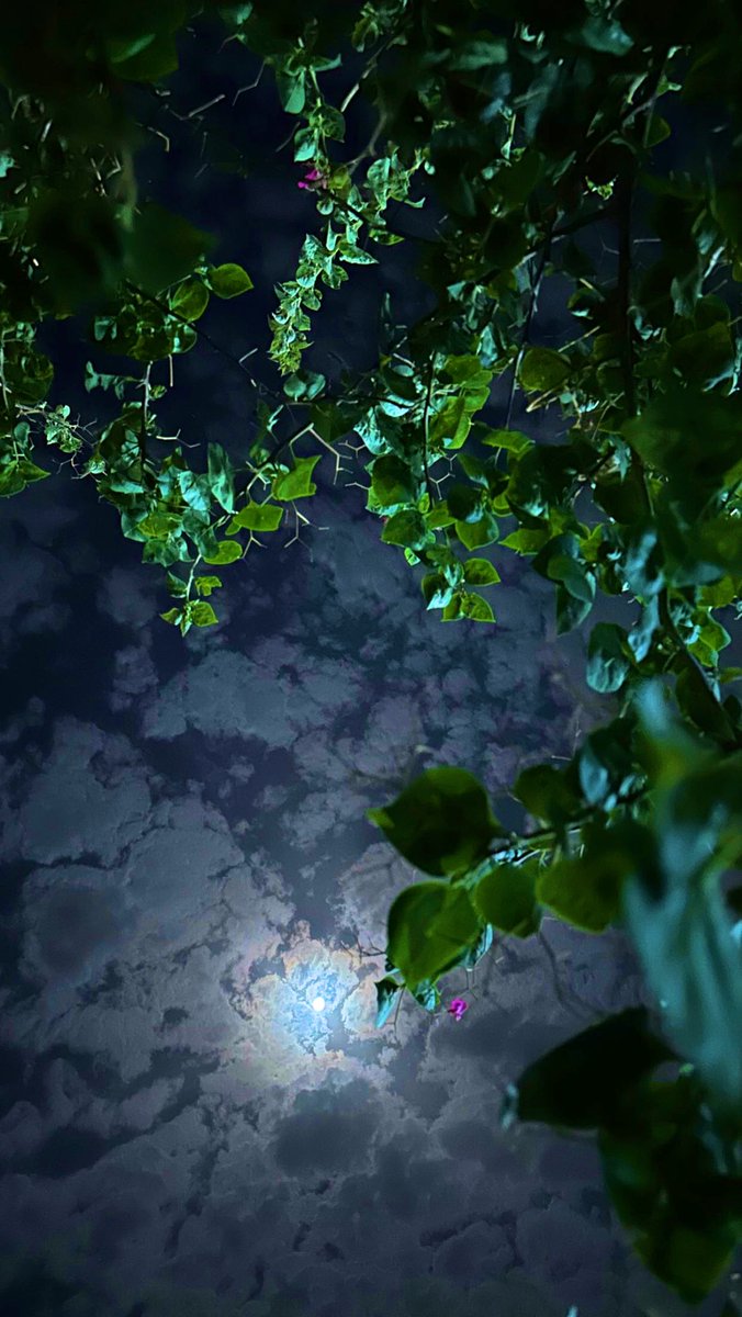 ___rag2's tweet image. قمراي وانا الليل 
ولا لي سما إلا 
سِمّاك .