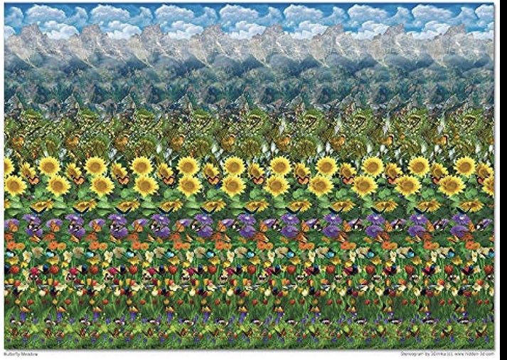 Tribe Quokka (@tribequokka) on Twitter photo 