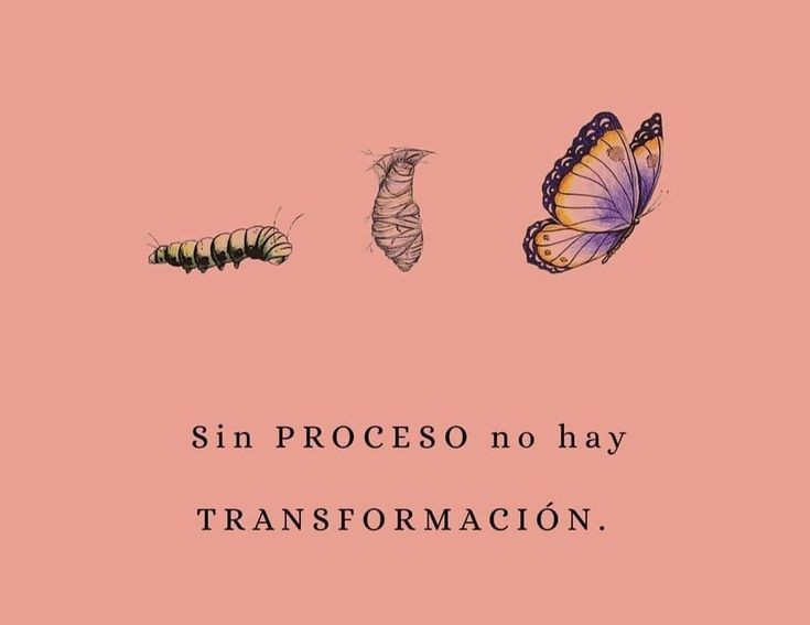 Sin proceso no hay transformación.... 👇👇👇