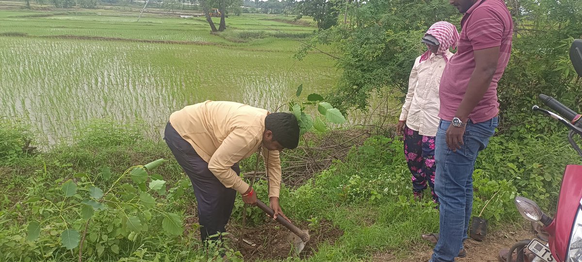 MpoNallabelly's tweet photo. Mass Plantation at Medapally Village of #Nallabelly Mandal of Warangal Dist. @Collector_WGL @TelanganaCMO @BReena28308863 @HiWarangal @HiHyderabad_ @PSRNSPT @prakashkuchana @SKUMARPatel21 @cprrd_ts @AnusruthRaot
@MoJSDDWS @swachhbharat @HarithaHaram
#TKHH https://t.co/t5RpzRIpiF