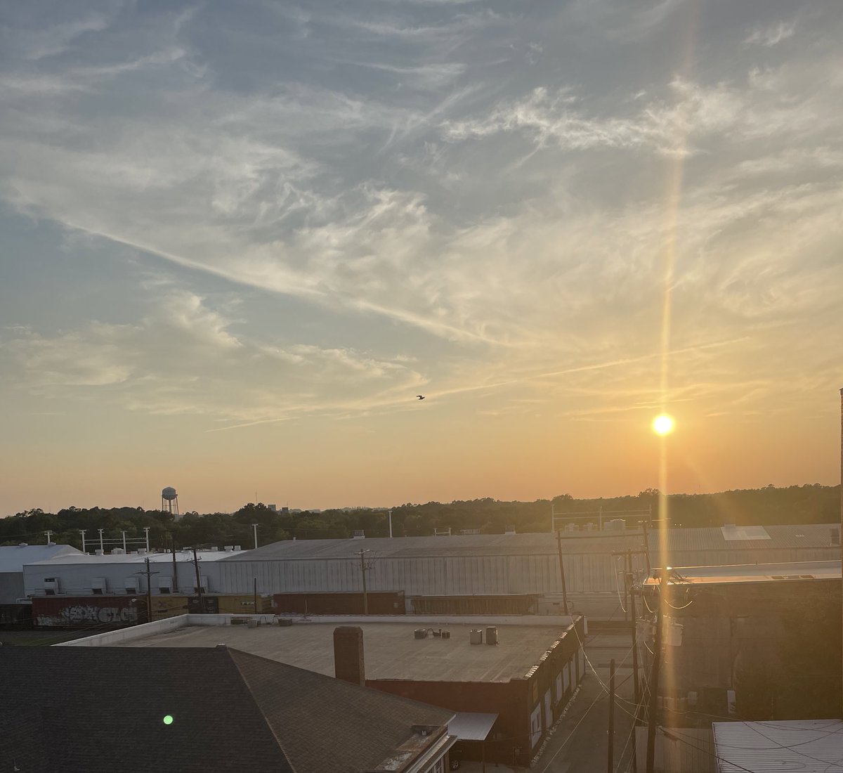 Fabin4th's tweet photo. How fitting after my first day of year 12.
Teacher peeps-take a breath.
Relationships before rigor
Grace before grades
Patience before programs
LOVE before lessons
Yโall get ready because bringing the sunshine this year!๐
๐โจ
#BRKShiningBright #PurpleWillReign https://t.co/uSrsbBwx4f