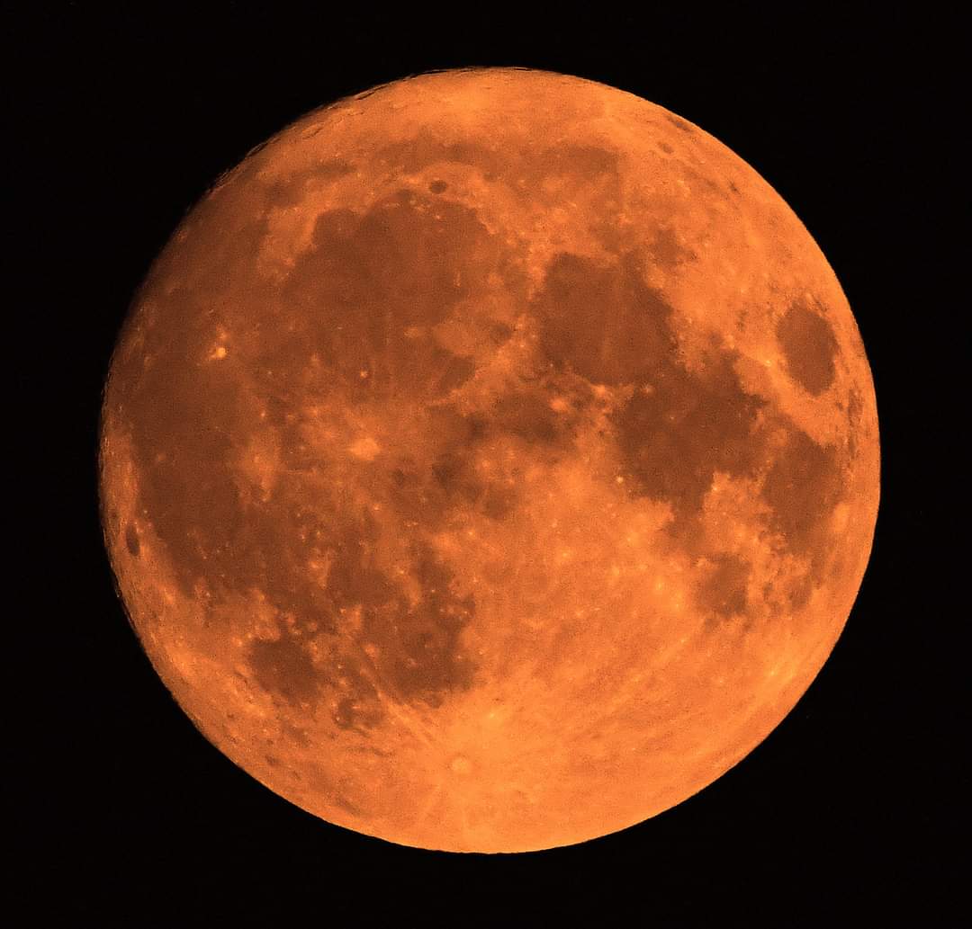 raelwienburg's tweet image. The Blue Moon in all it's glory! @CTVLondon @CTVKitchener @MurphTWN @bluemoon #BlueMoon #onceinabluemoon