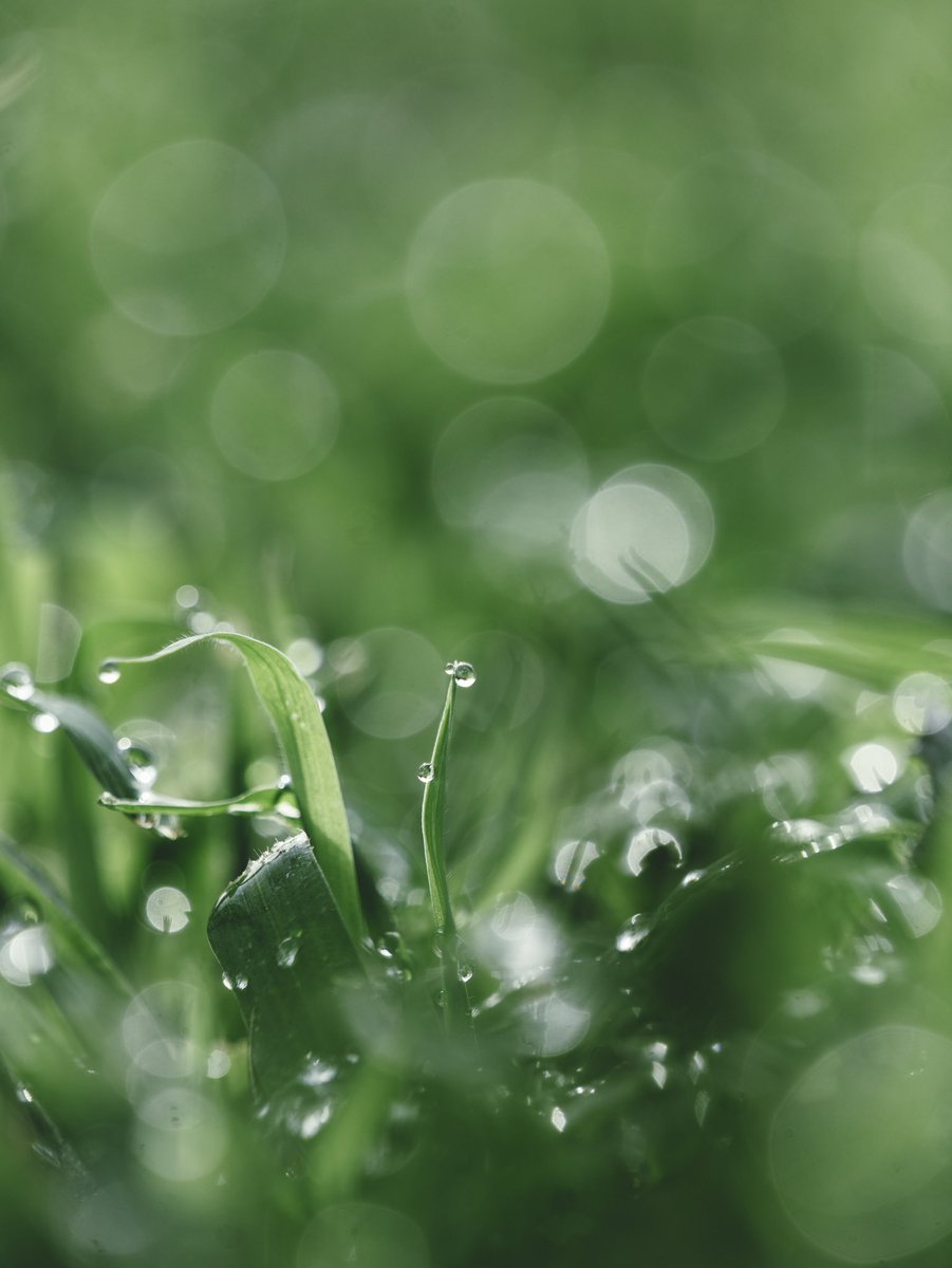 Aaron Burden tweet media