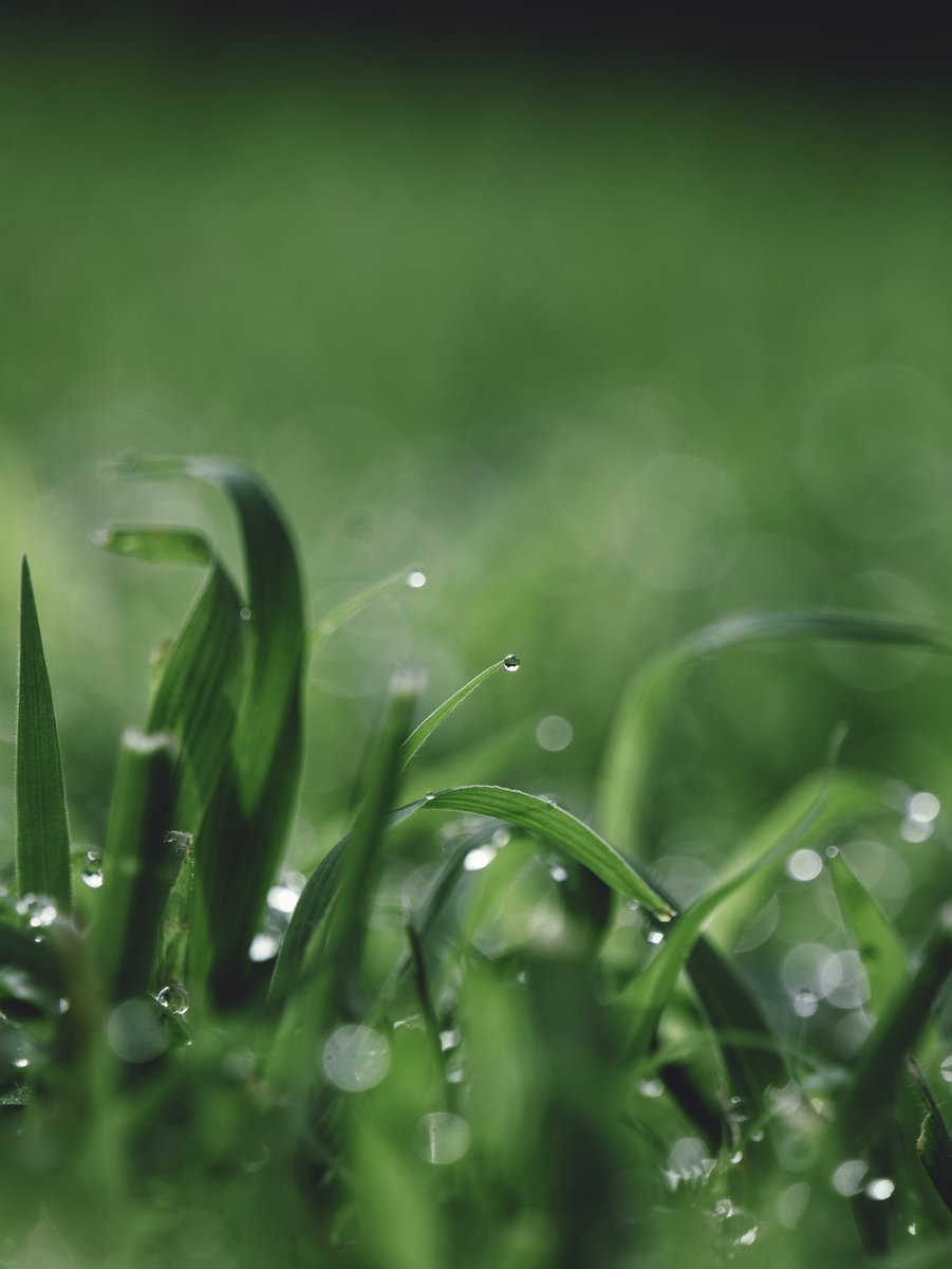 Aaron Burden tweet media