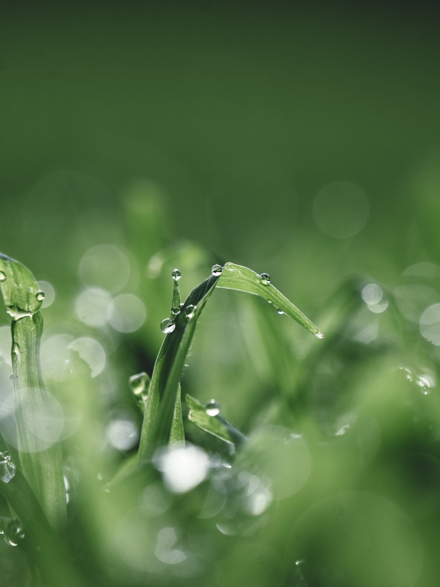 Aaron Burden tweet media