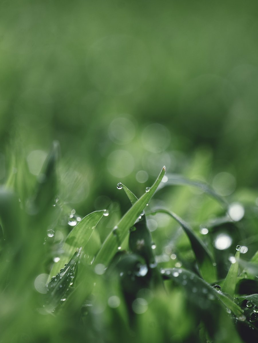 Aaron Burden tweet media