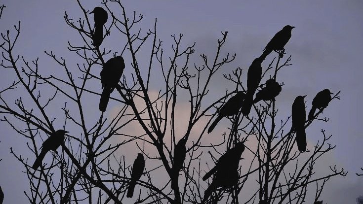 𝐉𝐎𝐍 (@fearspuppeteer) on Twitter photo 