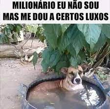 Leosroselli's tweet photo. @GuilhermeCattta https://t.co/b7RLAsXQC4