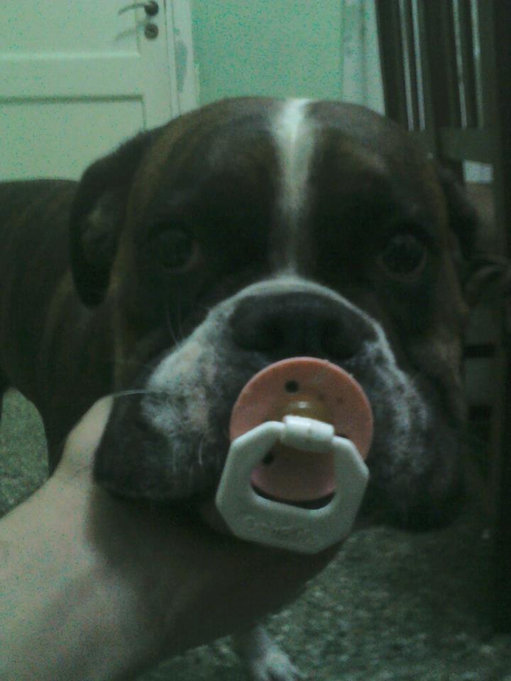 Fernando González tweet media