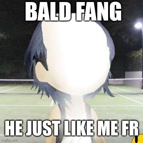 BaldMiladyBase's tweet photo. Well.....we got drained on Base by the Leetswap exploiter

Still bald tho😂$BLM https://t.co/YexfZBTUF9