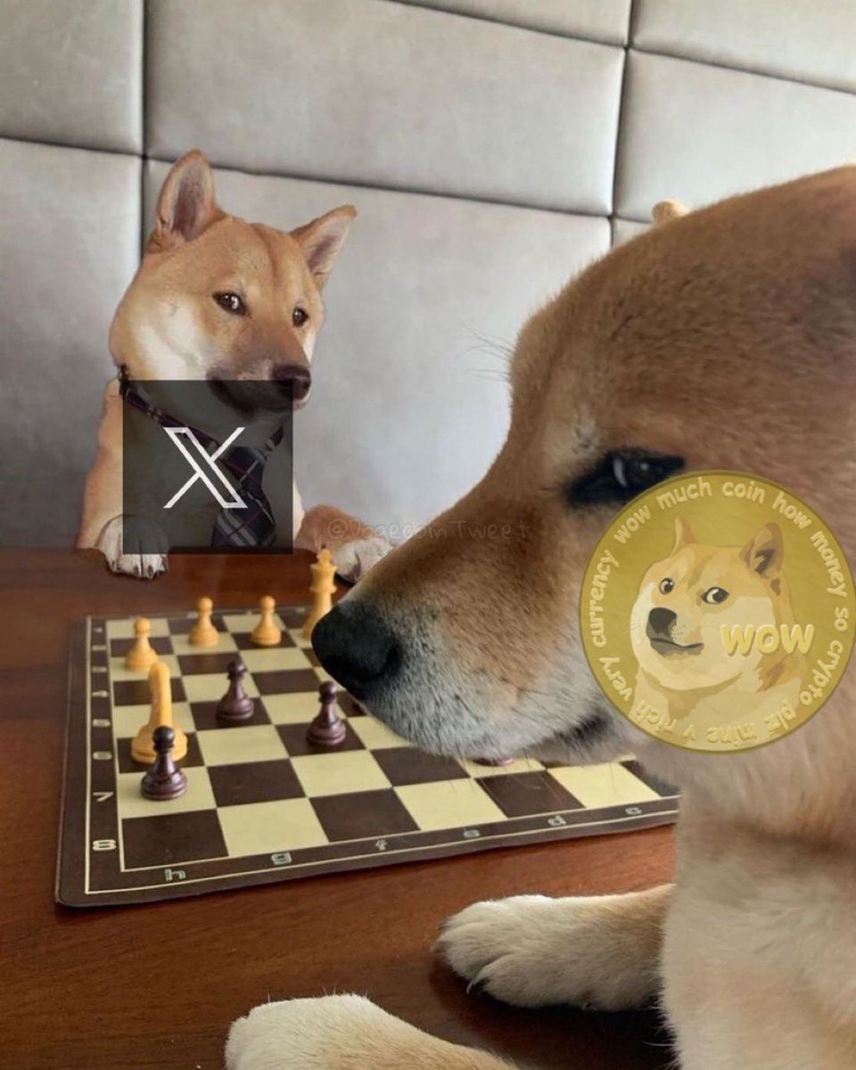 X242153's tweet photo. LIKE if you believe that Elon Musk should make #Dogecoin the official currency of 𝕏. https://t.co/ZTc2hLs6Iu