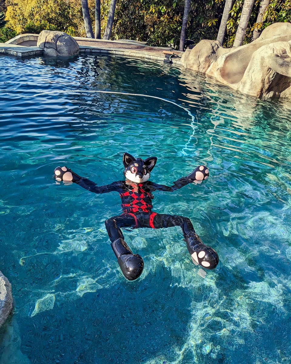 Splashing around in the pool 🦊🏊 Come on in, the water's great!

📷: <a href="/Pup_Dane/">Pup Dane 🔜 IML🪢😵‍💫</a> (#1-3), <a href="/rubberdalton/">Dalton Jay</a> (#4)
Hood: <a href="/karinKariwanz/">Karin / Kariwanz カリン / カリわんズ</a>
Paws: <a href="/RubberPaws/">Rubber Paws</a>
Harness: <a href="/Crunchycurl/">Crunchycurl</a>