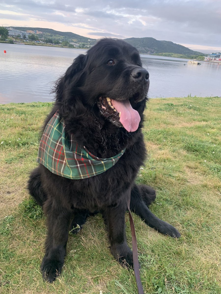 Regatta Eve at Quidi Vidi <a href="/StJohnsRegatta/">The Royal St. John's Regatta</a>