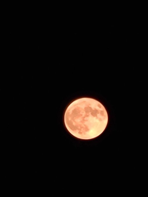 Everyone&rsquo;s reminder to go look at the moon 🌕 💜 incredible https://t.co/5uagHqe5UW<a href="/tag/newprofilepic"class="tags"><span>#newprofilepic</span></a>