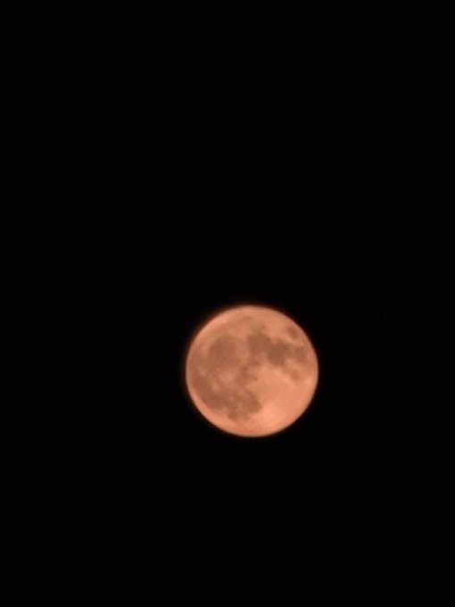 Everyone&rsquo;s reminder to go look at the moon 🌕 💜 incredible https://t.co/5uagHqe5UW<a href="/tag/newprofilepic"class="tags"><span>#newprofilepic</span></a>