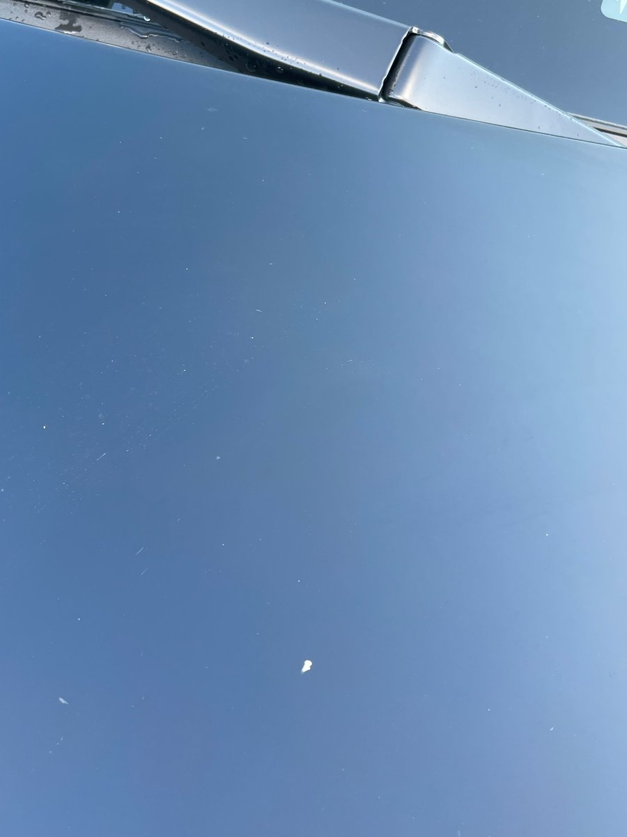 MyTeslaModelY's tweet photo. Day 32: Needs Improvement. The paint! The friggin awful Tesla paint jobs are true. Not only did I pay EXTRA for this paint, I also paid to have ceramic coating. @elonmusk weak.  #dobetter but really. #prosandnis https://t.co/scORoY6Rzp