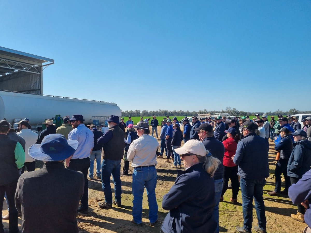 WeedSmartAU's tweet photo. We're kicking off Day 2 of WeedSmart Week Dubbo with a tour of @BillyBrowning93's farm.

Thanks, Billy, for talking to us about your farming system and how you keep weeds at bay using the Big 6 tactics! 🌱 https://t.co/Ef0bb7dkOk
