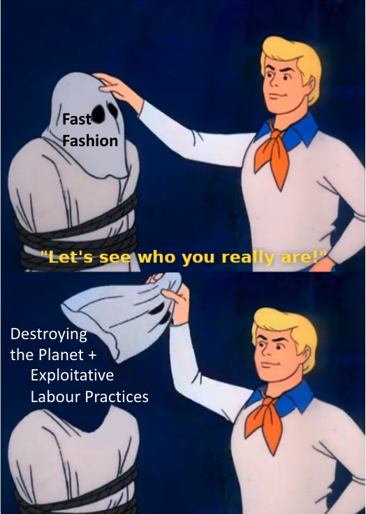 em203jtruong's tweet photo. Hopefully these memes make fast fashion easier to understand #EM203Robin https://t.co/L0x6MyRV0X