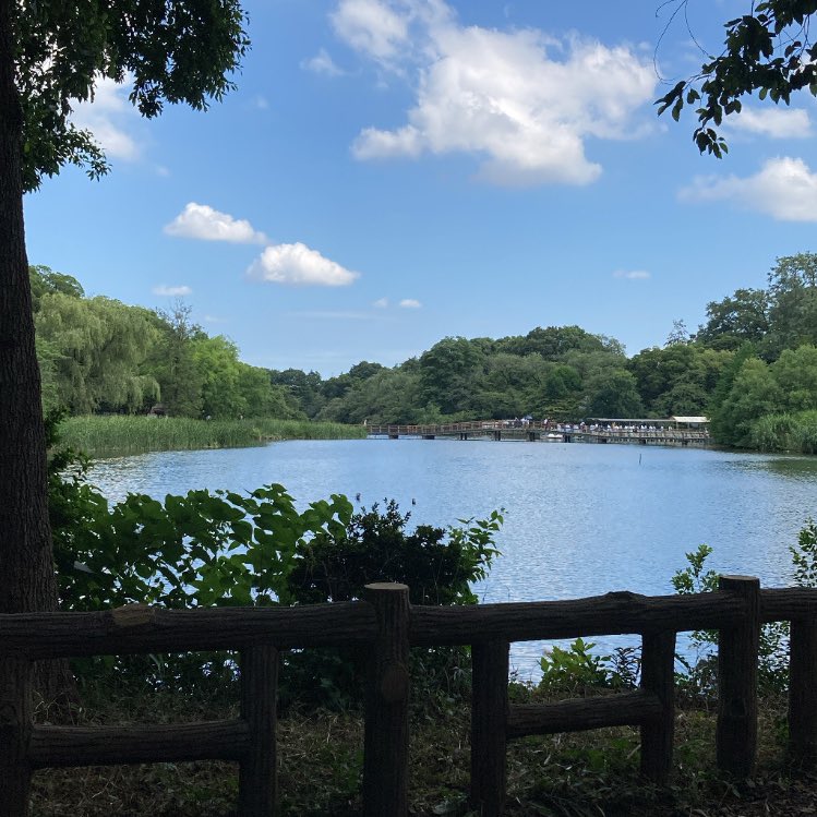 aokinoko612's tweet photo. でもやっぱり自然の下にいる時間が1番楽しかった井の頭公園めっちゃ良いところでした…🌳
晴れてよかったです☁️ https://t.co/oi7dTxvCeg